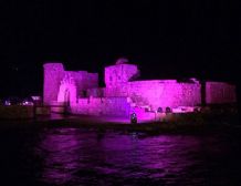 Sidon sea castle in pink