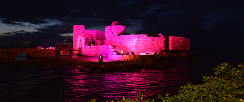 Saida Castle In Pink
